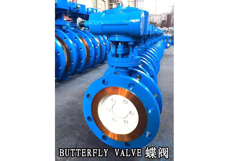 BUTTERFLY VALVE